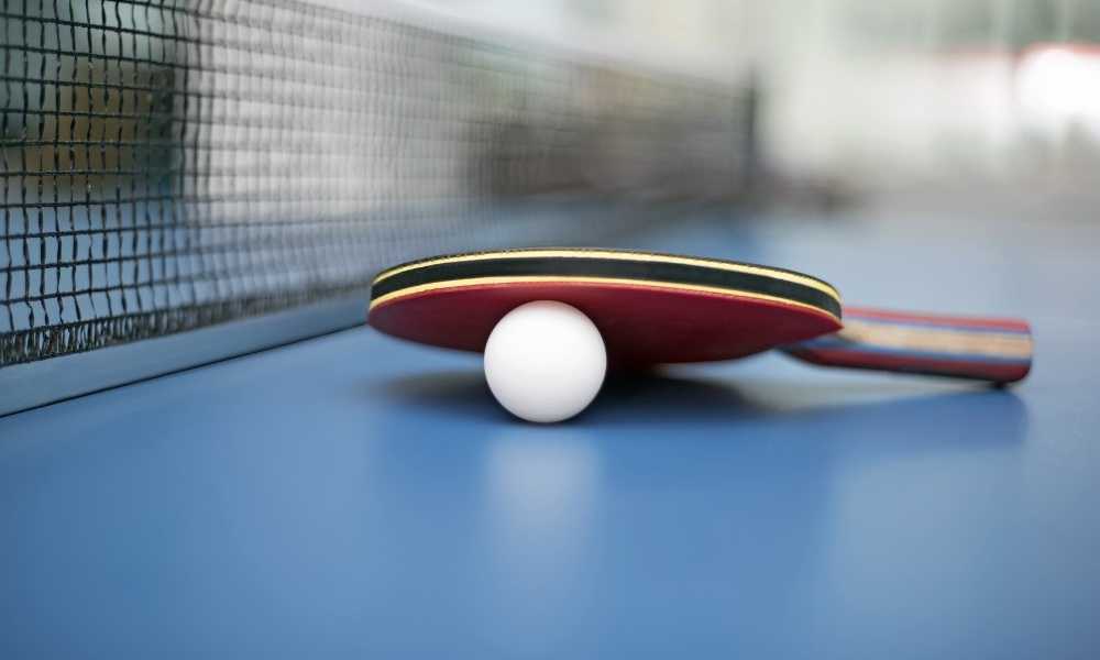 Best Ping Pong Paddle Brands